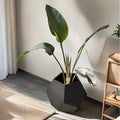 25.98'' Modern Pet Furniture Cat Litter, Sofa Side Table, Planter Mdf Multifunctional Furniture, Burmese Sumac Black Brown Mdf
