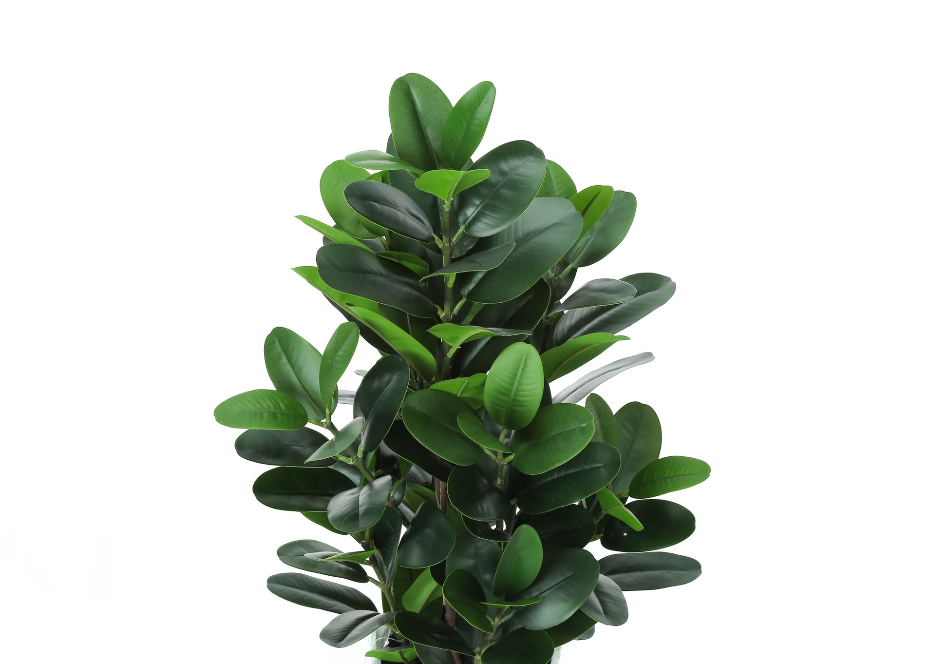 Artificial Plant, 31" Tall, Garcinia Tree, Indoor, Faux, Fake, Floor, Greenery, Potted, Real Touch, Decorative, Green Leaves, White Cement Pot Green Foam Plastic