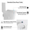 1.1 1.6 Gpf Elongated Comfort Height Super Quite Flushing Floor Mounted One Piece Toilet, Cupc Certified, Watersense Cetified, Ceramic, White Color, Soft Close Seat White Ceramic