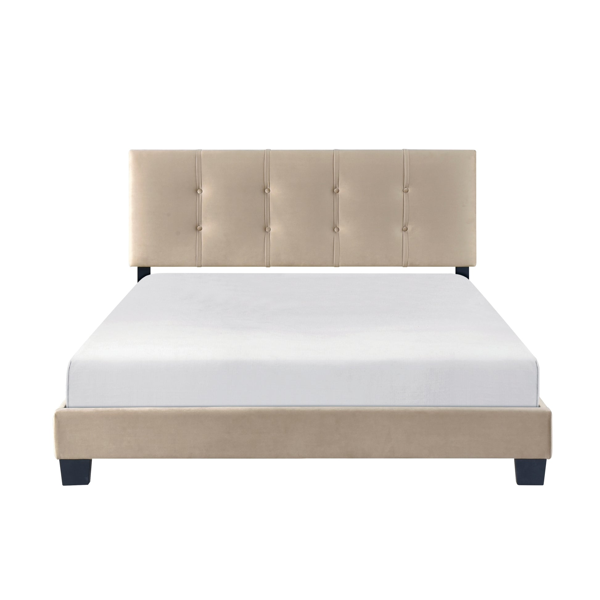 1Pc Queen Platform Bed Light Brown Velvet Upholstered Adjustable Height Headboard Button Tufted Solid Wood Bedroom Furniture Box Spring Not Required Queen Light Brown Wood Bedroom Velvet Solid Wood