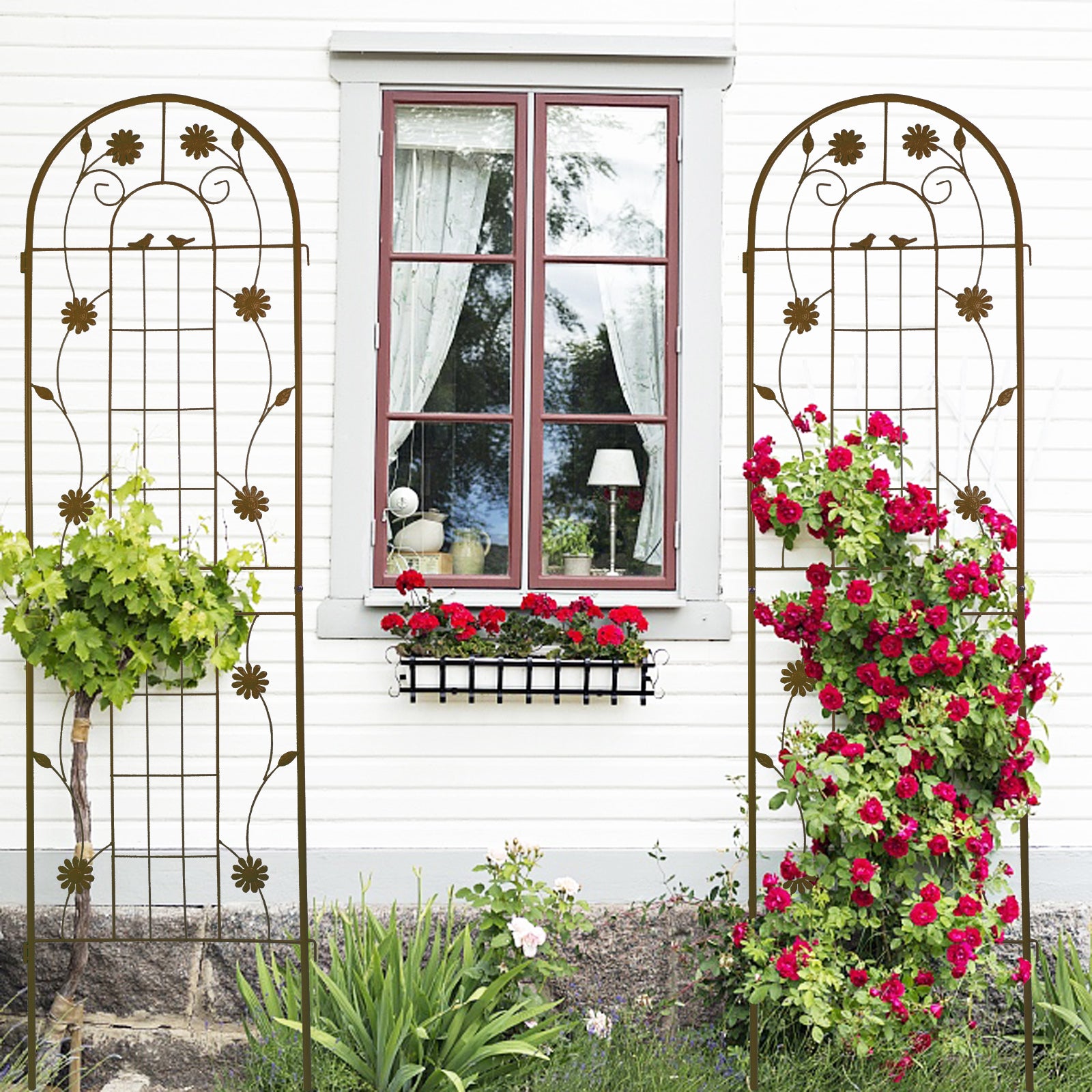 2 Pack Metal Garden Trellis 71" X 19.7" Rustproof Trellis For Climbing Plants Outdoor Flower Support Brown Brown Garden & Outdoor French Country Iron