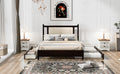 Queen Size Wooden Rattan Platform Bed, With 2 Big Drawers, T Size Trundle, Espresso Queen Espresso Plywood