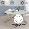 Valora Frosted Glass Top & Champagne Finish Coffee Table Champagne Glass Metal