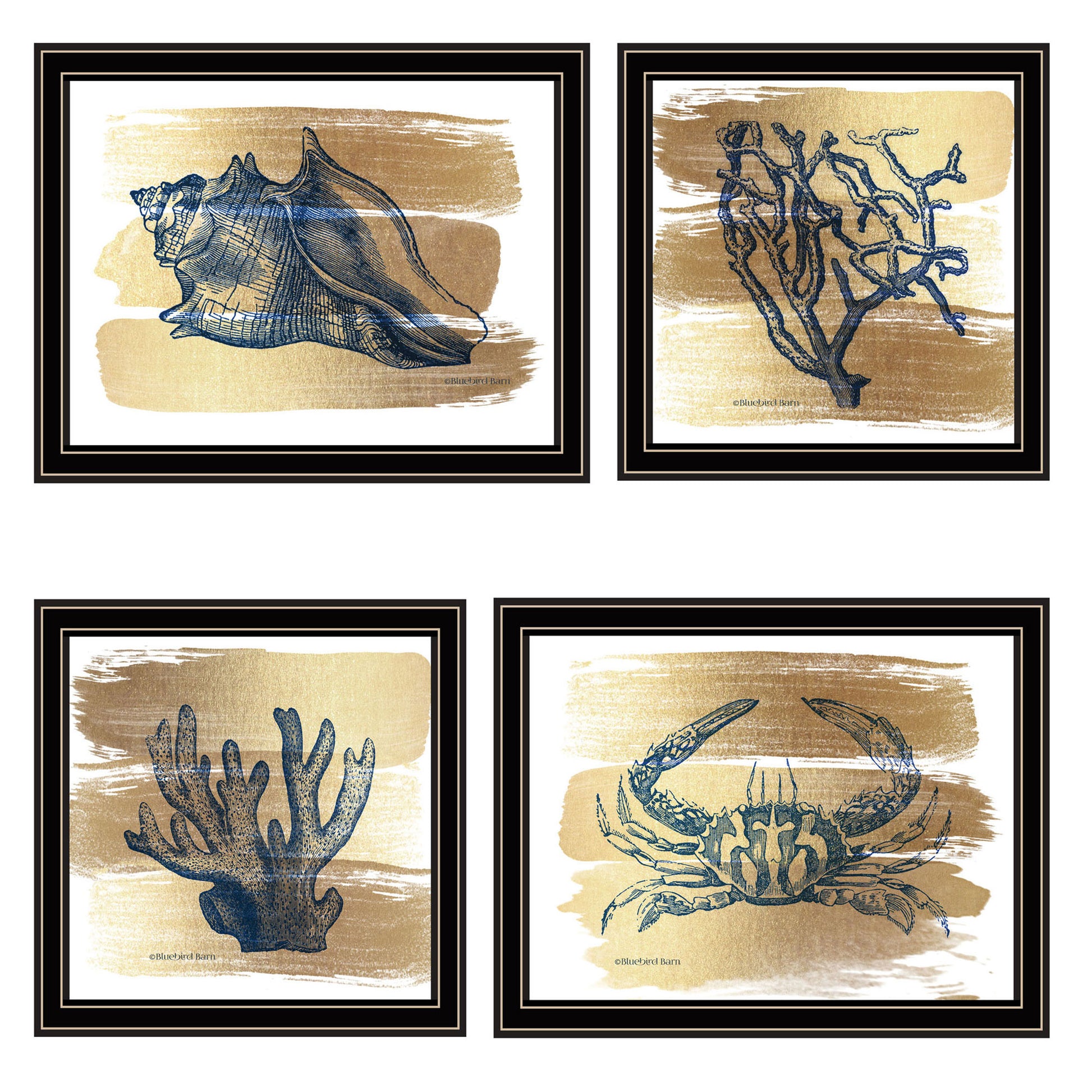 4 Pc Vignette Gold Sea Collection Black Framed Wall Art For Living Room, Bedroom Wall Art Print For Home Decor By Bluebird Barn Multi Wood Paper