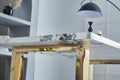 Luxurious Faux Marble Mdf Dinning Table For 6 Or 8, Rectangular 63
