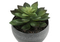 Artificial Plant, 6