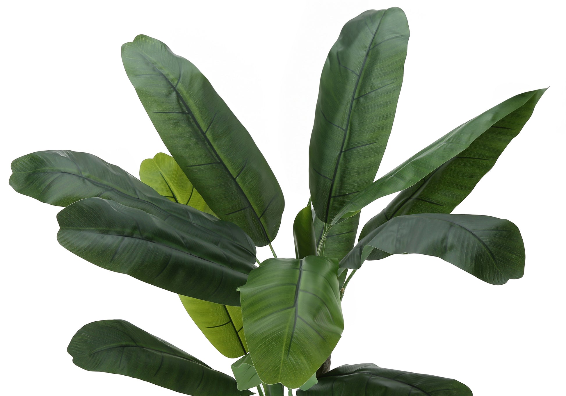 Artificial Plant, 55" Tall, Banana Tree, Indoor, Faux, Fake, Floor, Greenery, Potted, Real Touch, Decorative, Green Leaves, Black Pot Green Plastic