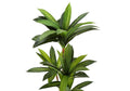 Artificial Plant, 51