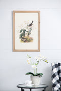 S 4 Bird Framed Print, 15.5X23.5