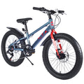 20 Inch Kids Bicyclesfat Tire Mountain Bike For Boys And Girls Age 5 Years ,Dual Disc Brake,Shimano 7 Speed ,Kids Beach And Snow Bicycle Grey Steel