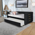Black Upholstered Twin Size Daybed With Trundle, Velvet Fabric, Gold Iron Bar Design, No Springs Required, Moderen Style Box Spring Not Required Twin Black Wood Espresso Bedroom Minimalist,Modern,Ultra Modern Rubberwood Fiber Foam And Polyester Fiber Pad