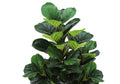 Artificial Plant, 47