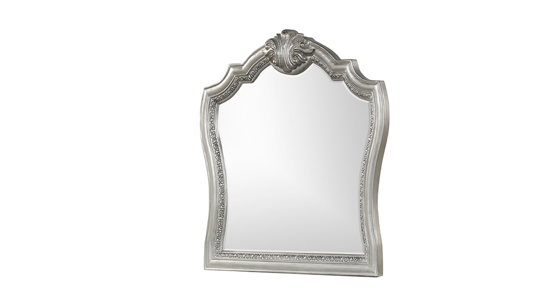 Destiny Traditional Style Mirror Made With Wood Frame In Silver Silver Traditional Solid Wood Mdf Wood