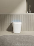 Multifunctional Flat Square Smart Toilet With Automatic Flush With Remote Control Foot Sensor Night Light White Ceramic