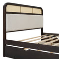 Queen Size Wooden Platform Bed With Trundle And 2 Drawers,Espresso Queen Espresso Solid Wood Mdf