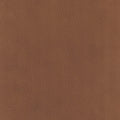Aria Top Grain Leather Chair Brown Primary Living Space Mid Century Modern Eucalyptus Down Filling Leather