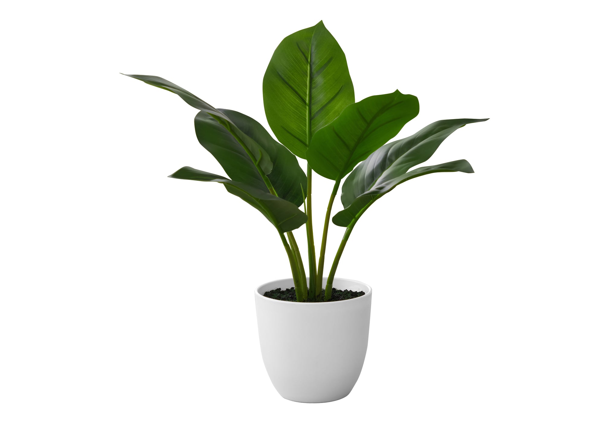 Artificial Plant, 17" Tall, Aureum, Indoor, Faux, Fake, Table, Greenery, Potted, Real Touch, Decorative, Green Leaves, White Pot Green Foam Plastic