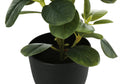 Artificial Plant, 14