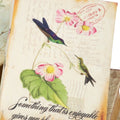 Set Of 4 Book Boxes With Birds, Flowers, And Handwriting Design, 5.5X4X2