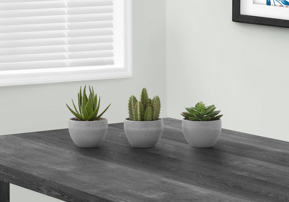 Artificial Plant, 6" Tall, Succulent, Indoor, Faux, Fake, Table, Greenery, Potted, Set Of 3, Decorative, Green Plants, Grey Cement Pots Green Foam Plastic