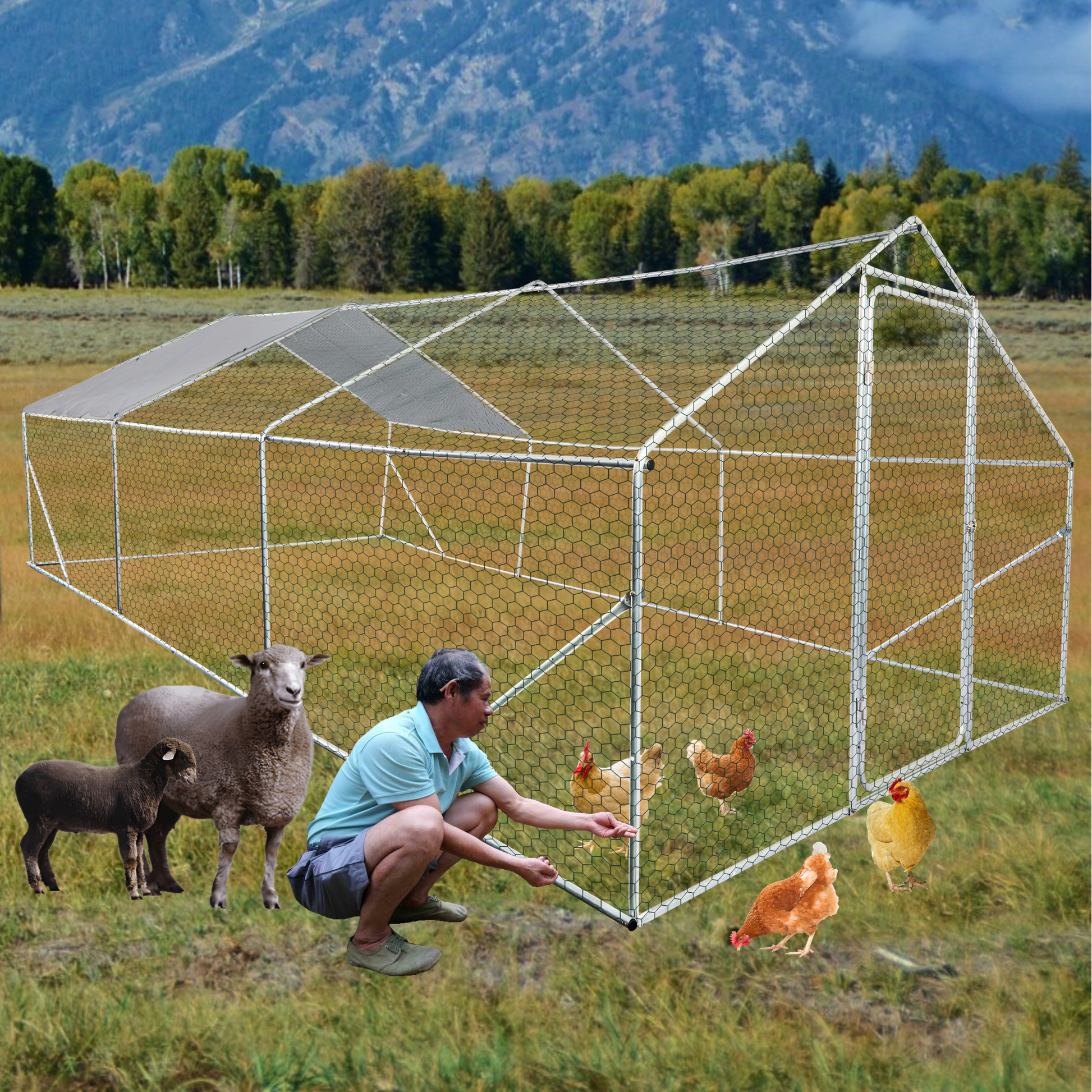 Xpt035 Outdoor Chicken Coop Metal Big Space 20*10*6Ft 3 Unit For Outdoor Farm Use Silver Grey Metal