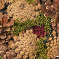 18.'' Pine Cone Wreath Natural Natural Foam