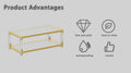 Modern Minimalist Style Gold Metal Frame With Acrylic Leg Coffee Table Cs 1195 Golden,Transparent Glass Acrylic