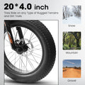 A20316 20 Inch Fat Tire Bike Adult Teen Full Shimano 7 Speed Mountain Bike, Dual Disc Brakes, High Carbon Steel Frame, Front Suspension, Mountain Dirt Bike, City Commuter City Bike, Fat Tire Bike Grey Without Durable Garden & Outdoor Retro Muscle