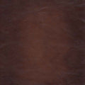 Newport Leather Chair Caramel Primary Living Space Mid Century Modern Eucalyptus Down Filling Leather