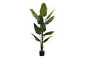 Artificial Plant, 59