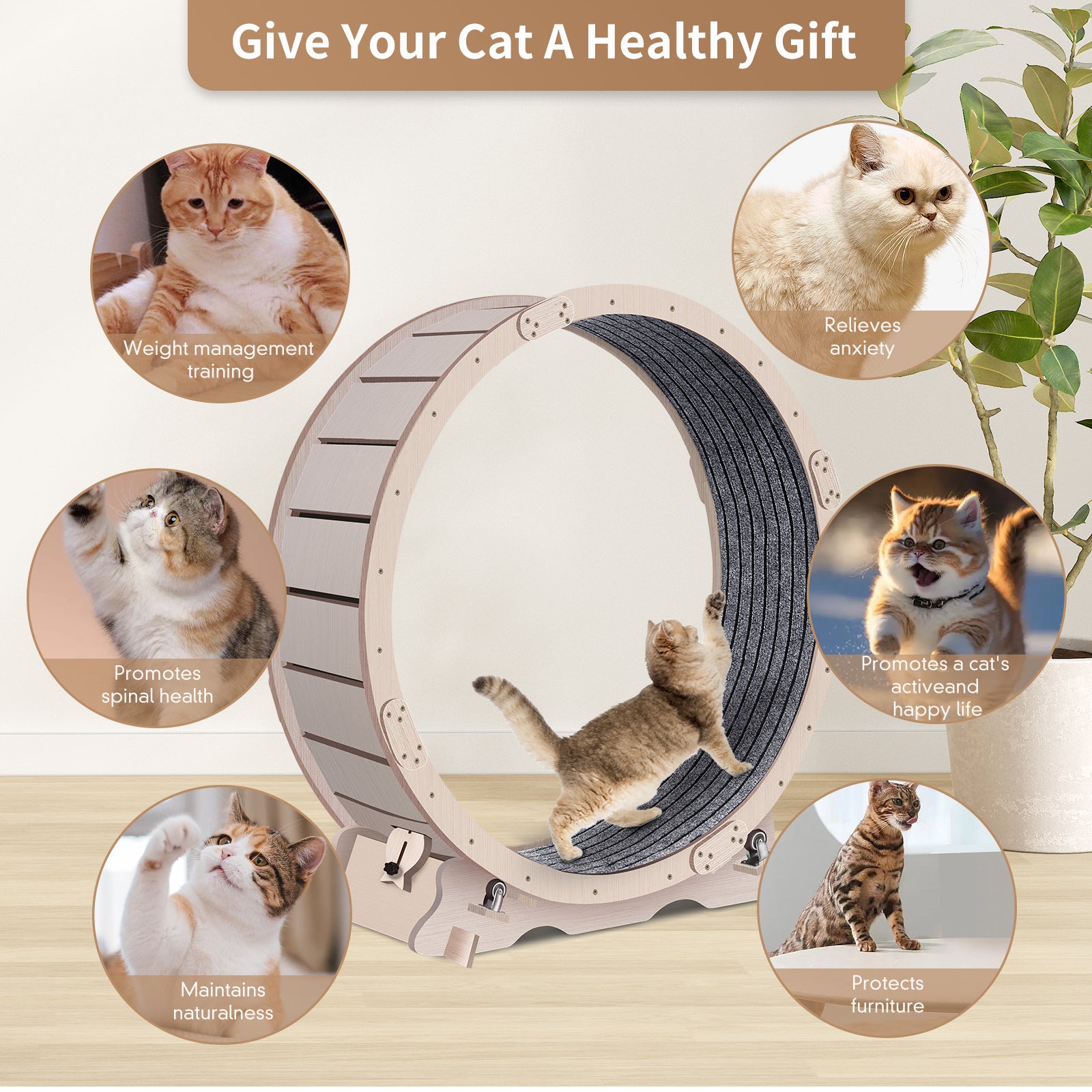 Cat Exercise Wheel For Indoor Cats, Cat Running Wheel With Carpeted Runway, 41" Natural Wood Color Wood Wood