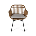 Orlando Chairs Brown Beige Iron Plastic