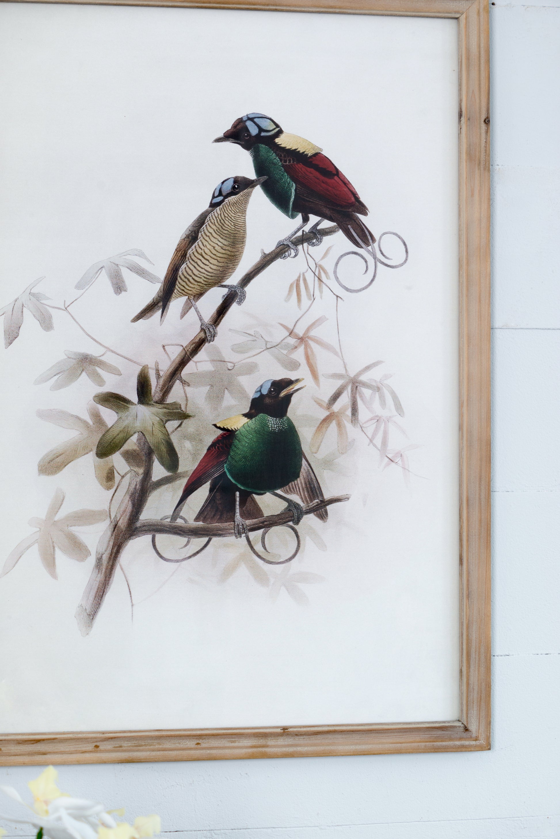 S 2 Bird Framed Print, 19.5X27.5" Multicolor Wood