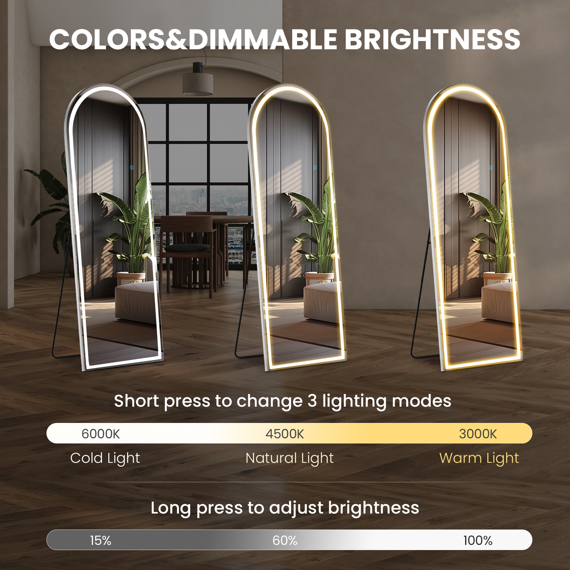 3 Color Lighting Mirror With Led Lights, 63"X20" Lighted Floor Standing Mirror With Stand Black Fiberglass
