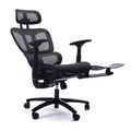 Adjustable Ergonomic Black Mesh Office Chair With Headrest And Footrest, Conference Computer Desk Chair Caster Nylon Black Office Foam Rectangular Contemporary Push Button Office Chairs Plywood Foot Rest Metal Mesh