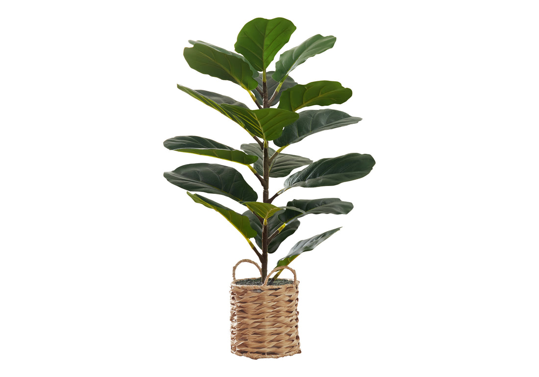 Artificial Plant, 28" Tall, Fiddle Tree, Indoor, Faux, Fake, Floor, Greenery, Potted, Real Touch, Decorative, Green Leaves, Beige Woven Basket Green Foam Plastic