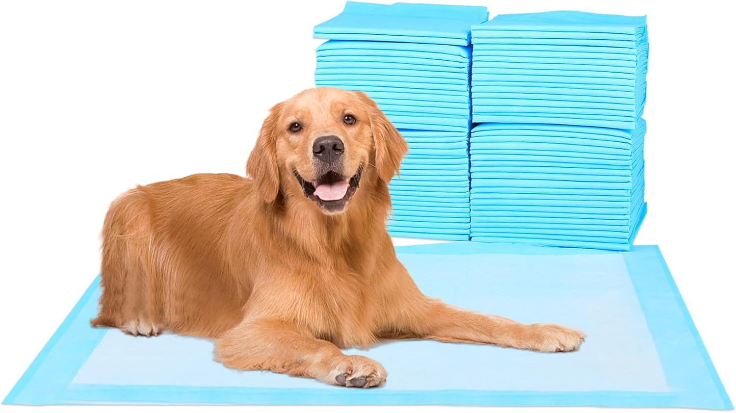 Super Absorbent Waterproof Dog And Puppy Pet Training Pad, Housebreaking Pet Pad,Blue 22"X22" 50Pcs Blue Plastic
