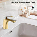 Single Hole Bathroom Sink Faucet With Pop Up Drain And Water Supply Hose, Single Handle Bathroom Faucet One Brushed Gold Bathroom 1 Hole Faucets Brass