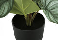 Artificial Plant, 13