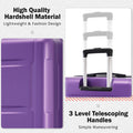 2 Piece Luggage Set With Bags Expanable Spinner Wheels Abs Lightweight Suitcase With Tsa Lock 20Inch 24Inch Purple Abs