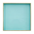 Alluring Mimosa Square Tray, Powder Blue Blue Plastic
