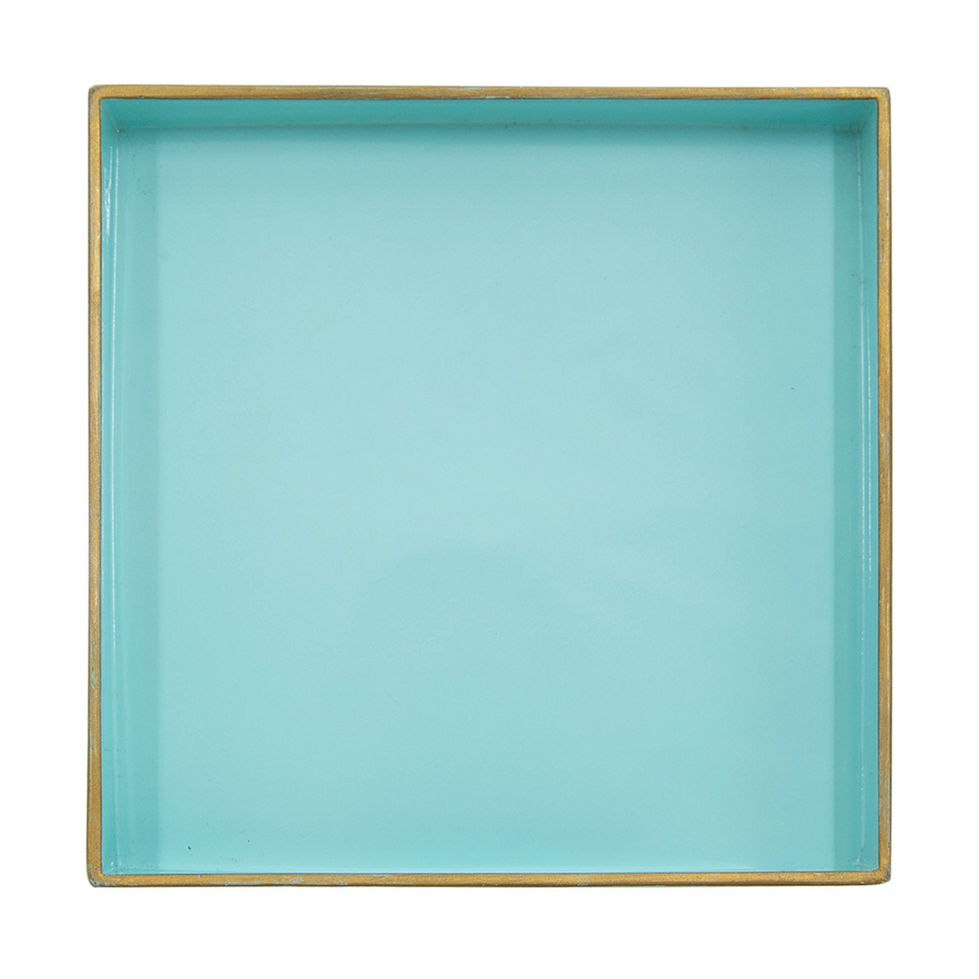 Alluring Mimosa Square Tray, Powder Blue Blue Plastic