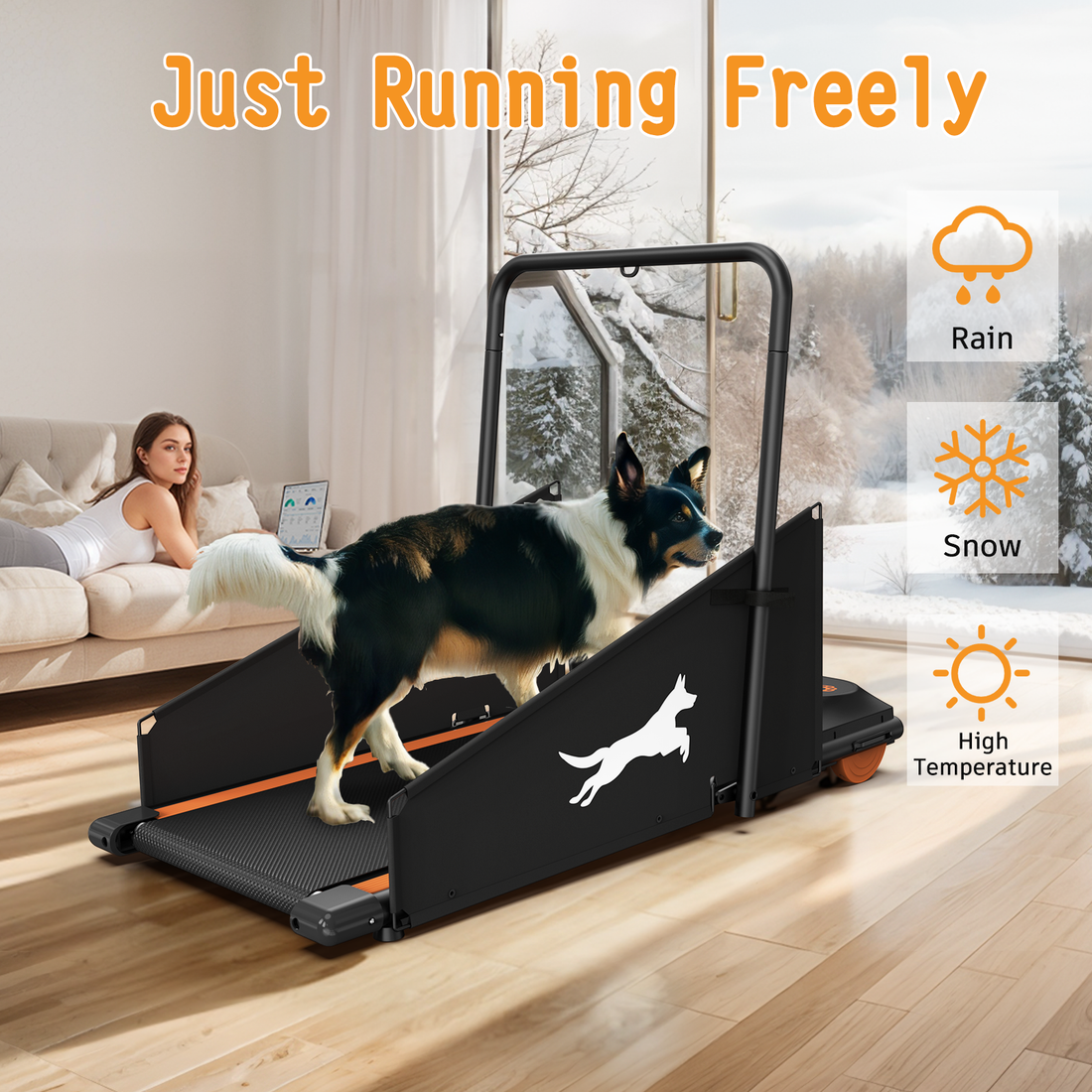 Dog Treadmill Small Dogs Dog Treadmill For Medium Dogs Dog Pacer Treadmill For Healthy & Fit Pets Dog Treadmill Run Walk Black Orange Steel