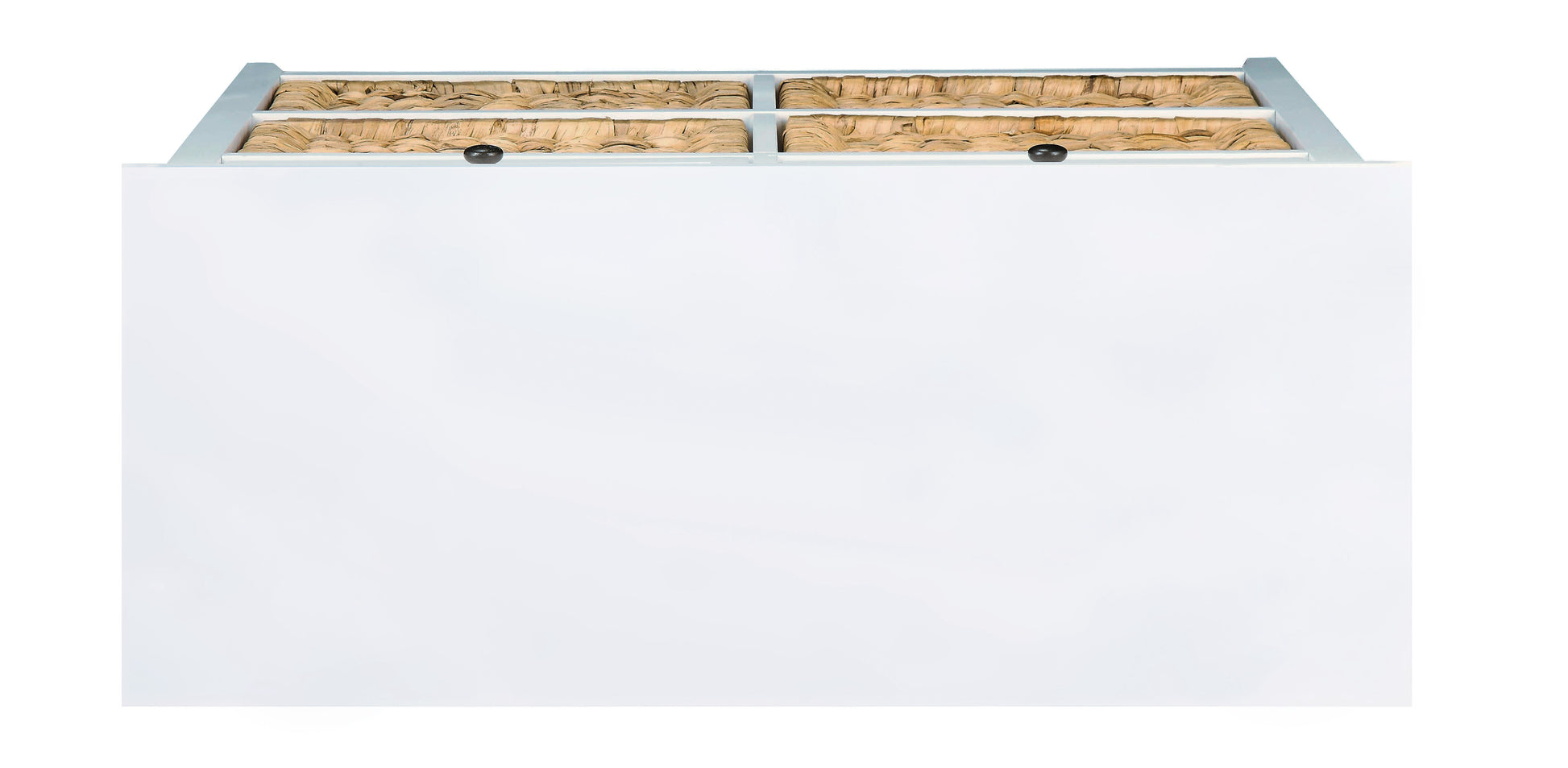 Flavius White Finish Console Cabinet White Synthetic Wood