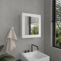 Luma Medicine Cabinet With Mirror Door 20.5