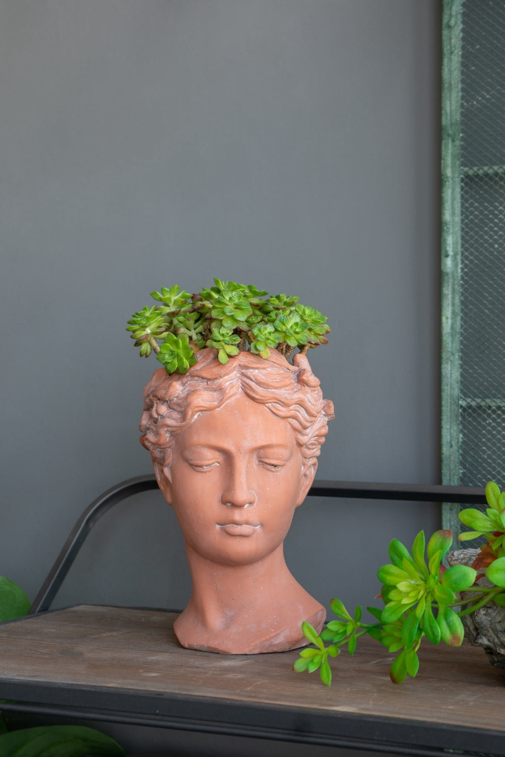 D7X11" Visage Head Bust Planter, Brown Brown Garden & Outdoor Cement