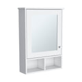 Vina Medicine Cabinet With Mirror Door 29