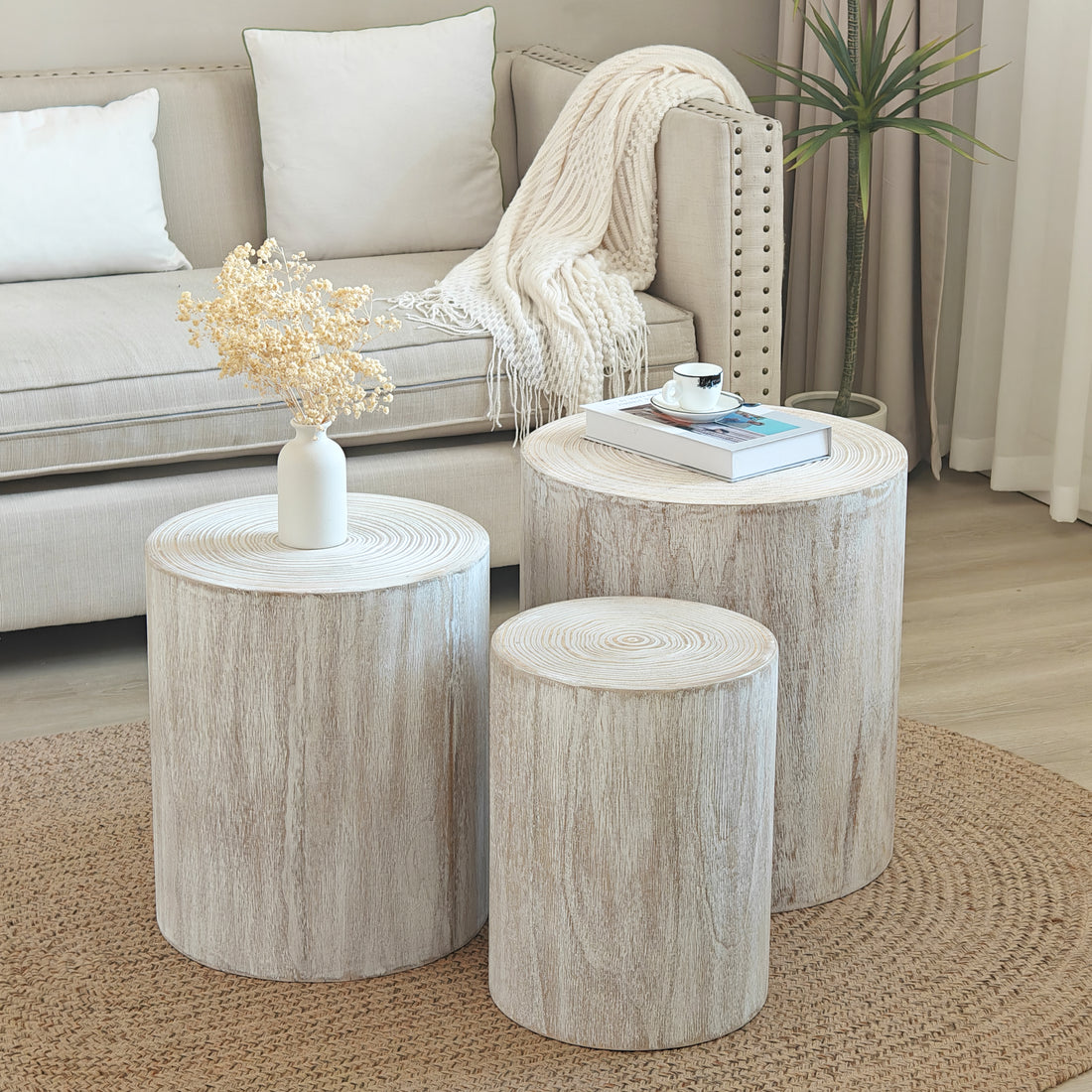 Set Of 3 Whitewash Wood Coffee Table With Clear And Visible Tree Rings White Distressed Finish Dining Room Fir Round Antique White,Natural Whitewash,White Washed,Wood Desk Top Modern,Rustic Floor Mount Round Open Storage Brushed Coffee & End Tables Wood