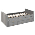 Twin Size Upholstered Daybed With Twin Size Trundle And Drawers, Velvet, Gray Box Spring Not Required Twin Gray Velvet