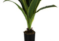 Artificial Plant, 47